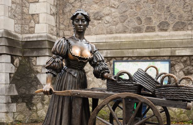 Private Dublin tour - hidden gems and main attractions with a local