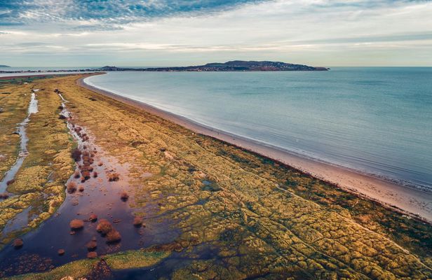 Dublin Bull Island guided walking tour