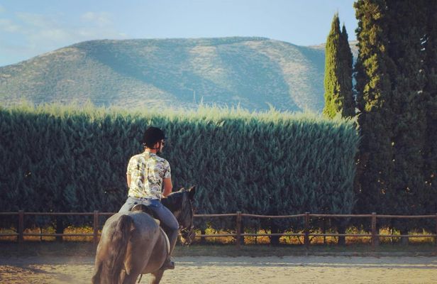 Kavala Area Tour with Equestrian Club and Wax Museum Visit