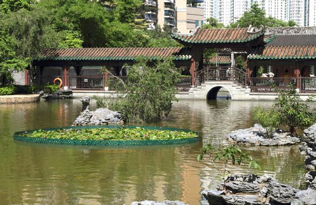 Guangdong Shunde Food Tour from Guangzhou