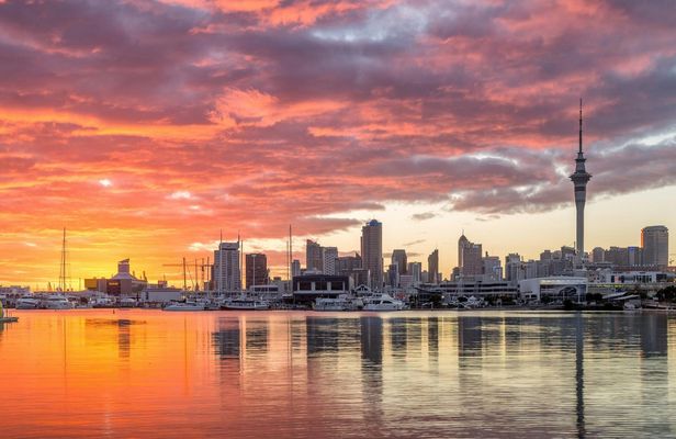 Discover Auckland City Tour