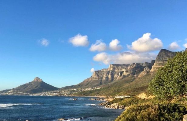 Marine Wildlife Boat Cruise and Cape Peninsula Tour