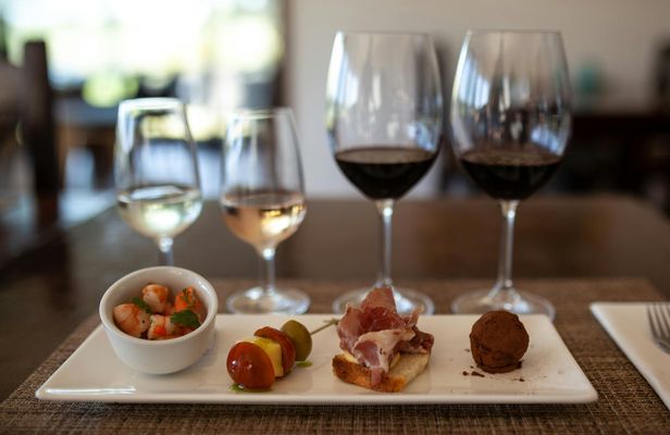 Tasting and Lunch at Bodega Pizzorno in Montevideo