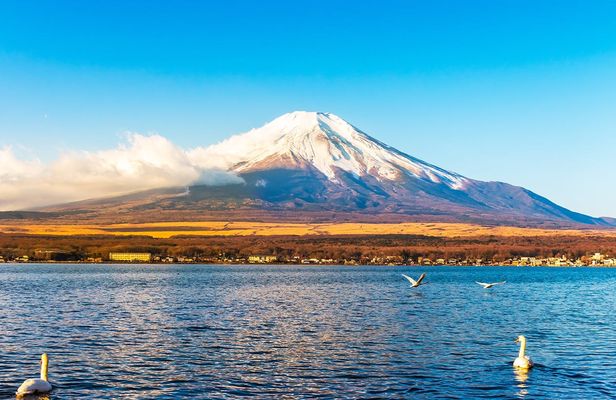 1-day tour to Mt. Fuji, Lake Kawaguchi, Yamanaka and Onsen
