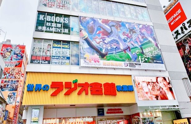 Akihabara Subculture and Shibuya Street Kart Tour in Tokyo