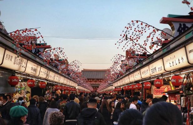 Asakusa Temple and Shibuya Sky Half Day Walking Guided Tour in Tokyo