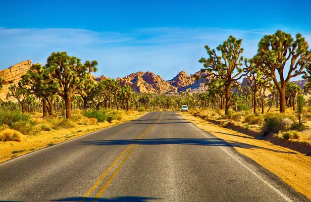 Audio-Guided Driving of the Joshua Tree National Park