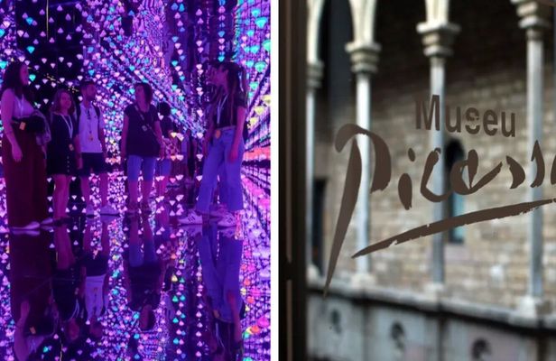 Picasso and Moco Museum guided tour