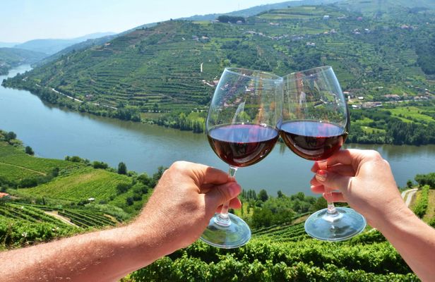 Guided tour of the Douro with river cruise and wine estates' visit