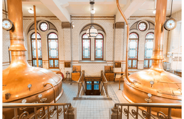 Gray Line Canal Cruise with snackbox & Heineken Experience
