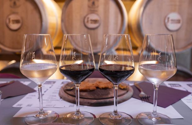 Agricola Poggio ai Laghi Tasting of Wines, Oils and Vinegars