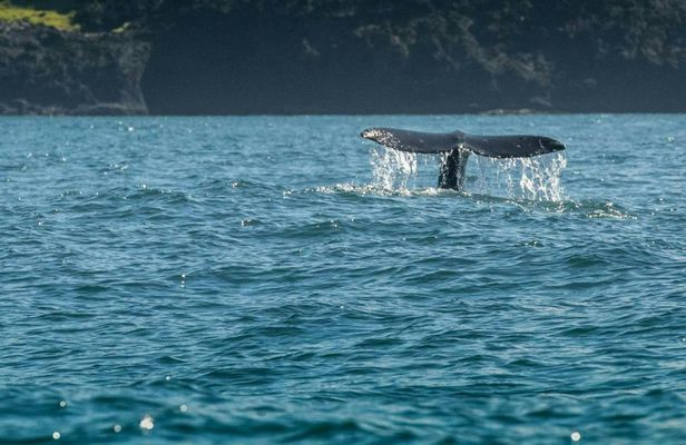 Self-Guided Driving Tour to Explore the Oregon Coast
