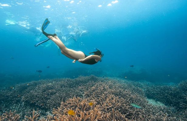 Nusa Lembongan with Manta Bay snorkelling all-inclusive tour