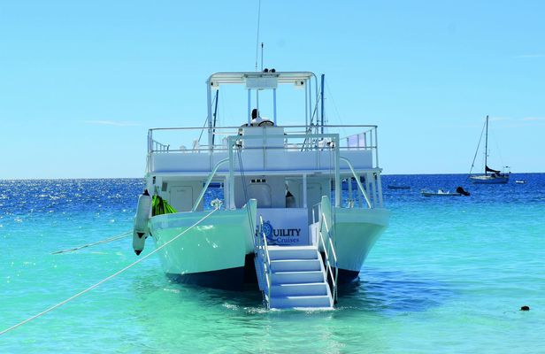 Turtle and Shipwreck Snorkel Adventure in Barbados