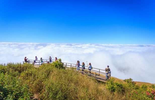 Hiking Experience to the Highest Spot in Chiang Mai