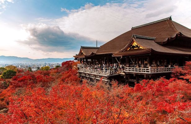 Full-Day Guided Tour of Kansai's Top Attractions