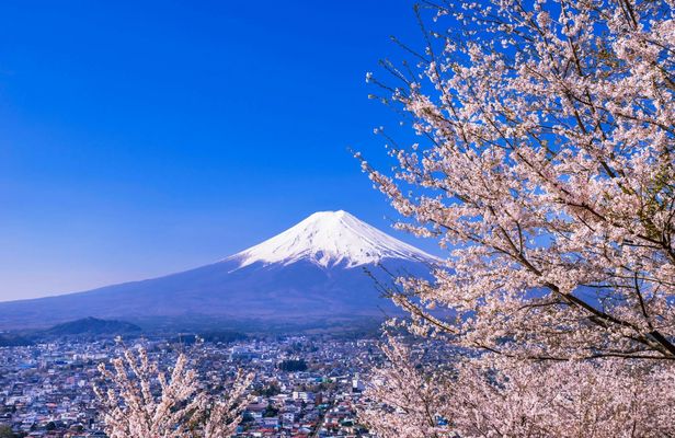 Mount Fuji and Oshino Hakkai Tour with Optional Hot Springs or Outlet