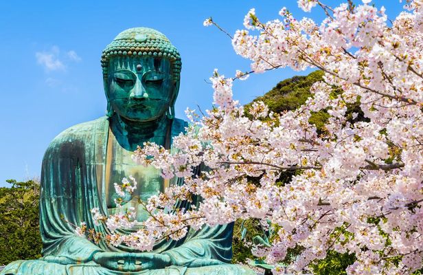 1-day tour to Kotoku-in, Hachimangu Shrine and Enoshima from Tokyo