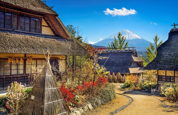 Mount Fuji, Asama Park, West Lake Rinko Field Day Tour