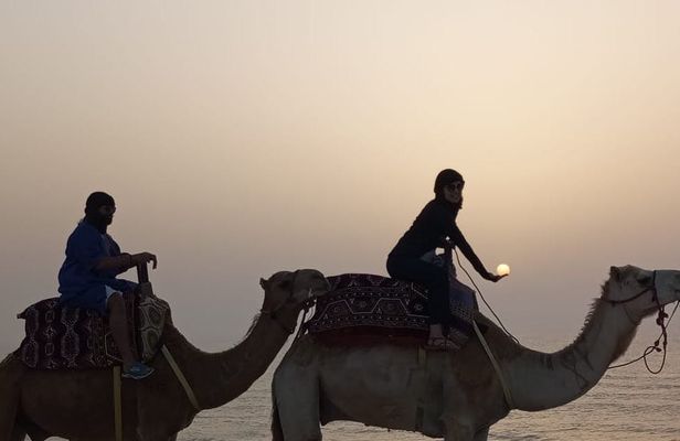 Camel Ride Experience with Evening Barbecue in Agadir