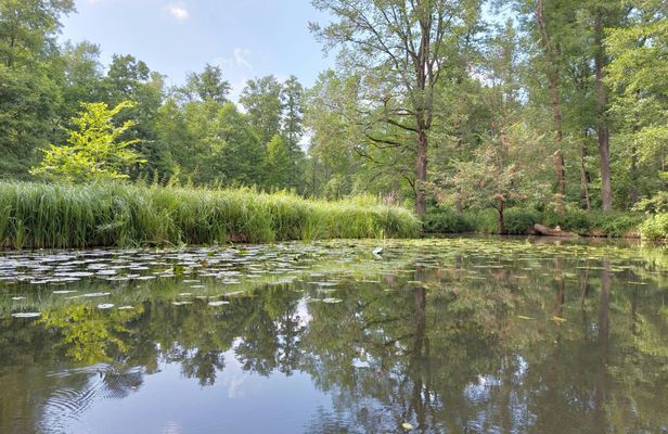 Private Day Tour to Spree Forest from Dresden