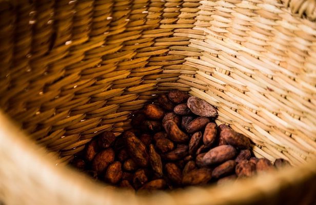 Peruvian Chocolate, Pisco and Coffee Tasting at the ChocoMuseo