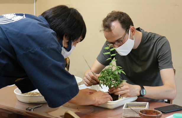 Authentic Japanese Bonsai Experience in Tokyo