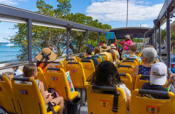 Caribbean Adventure with Hop-on Hop-off and Beach Break in Cozumel