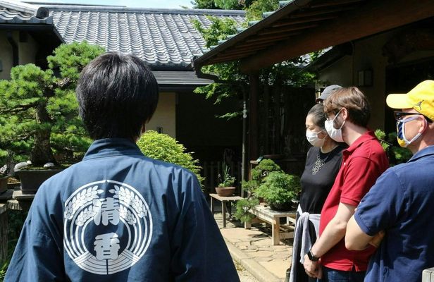 Bonsai Creation Experience for Novices in Tokyo