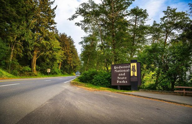 Audio-guided driving tour to Redwood National & State Parks