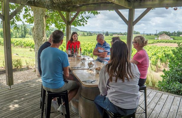 St. Emilion day-tour with village visit, wine tour and lunch