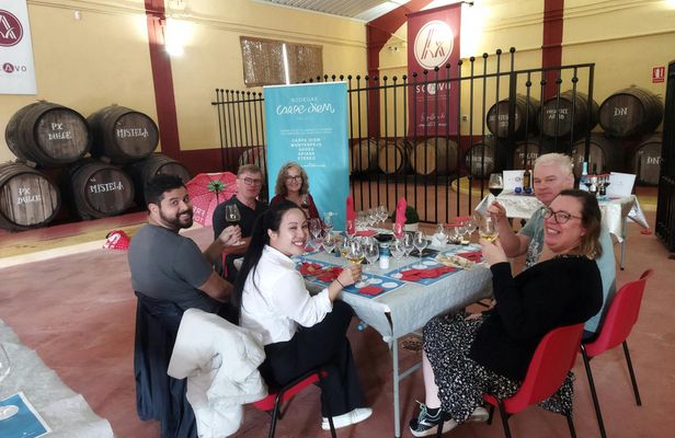 Winery and olive oil mill tour and tasting with tapas