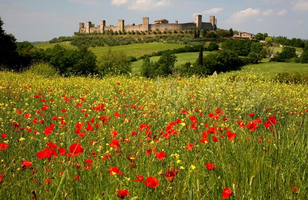 Hike from Siena to Monteriggioni with Wine Tasting