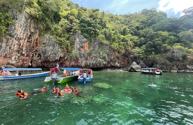 Langkawi mangrove river cruise and snorkeling experience