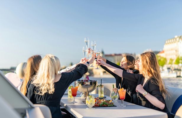 Private YachtBoat PONTOON All-You-Can-Drink Cruise in Prague