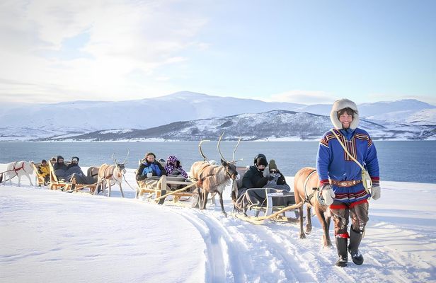 25-Minute Sleigh Ride with a Sami Culture Experience