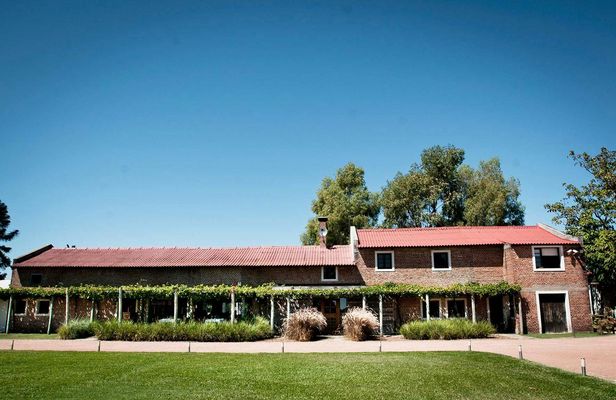Guided Tour with Wine Tasting Experience at Bouza Winery
