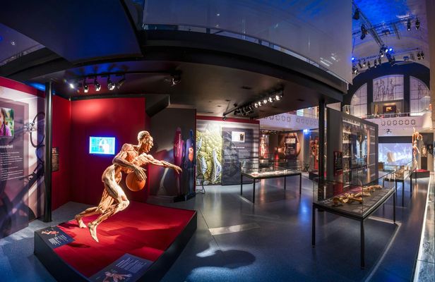 BODY WORLDS Heidelberg entrance tickets