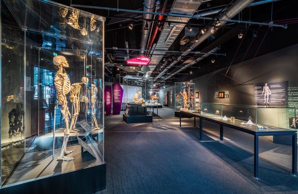 BODY WORLDS Berlin entrance tickets