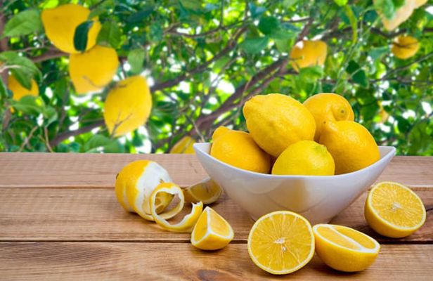 Limoncello-Making Masterclass in Rome with Keepsake