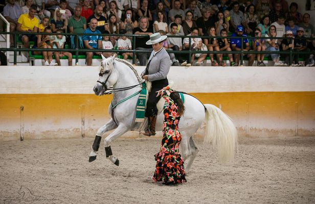 Andalusian horse flamenco show in Torremolinos