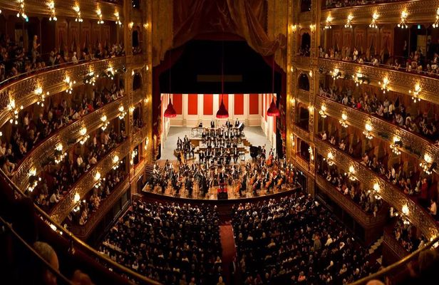 Buenos Aires walking tour with visit to Colon Theatre and MALBA Museum