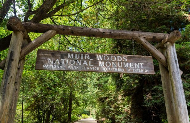 Muir Woods National Monument: Self-Guided Walking and Driving Tour