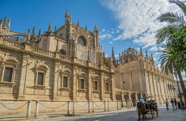 Private tour of the Cathedral and the Alcazar of Seville