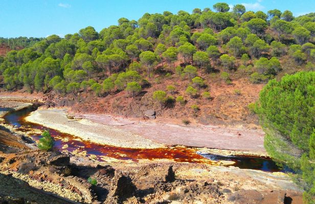Aracena and Riotinto mines day tour from Seville