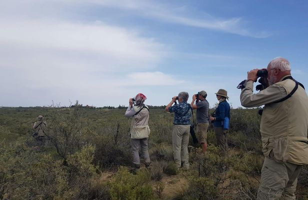 Full-day Excursion to Peninsula Valdes from Puerto Madryn