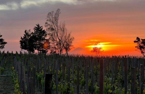 Sunset Experience on Lipari Island with Vineyard Picnic