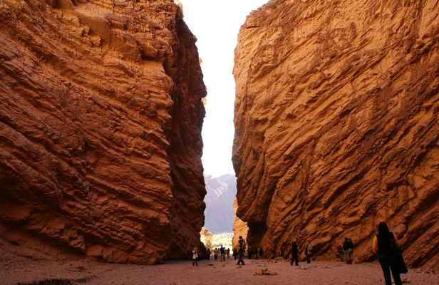 Cafayate full-day excursion with wine tasting from Salta