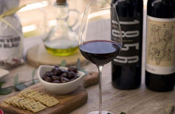 Wine Tasting Experience in Historic Palma Cellar
