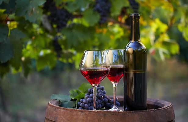 Bodega Viña Real Guided Tour with Wine and Cheese Tasting